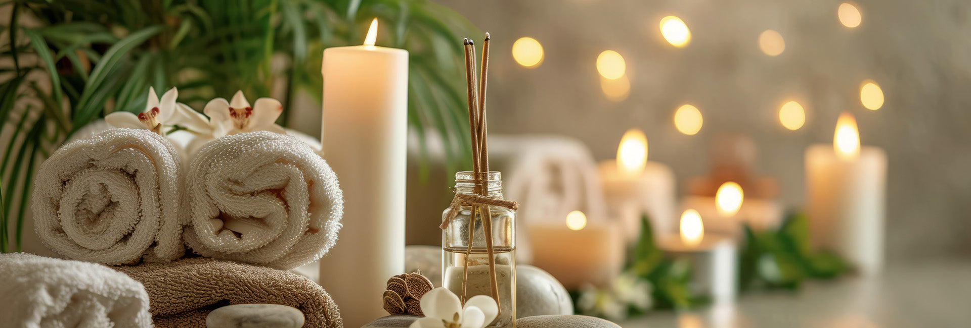 PROFESSIONAL