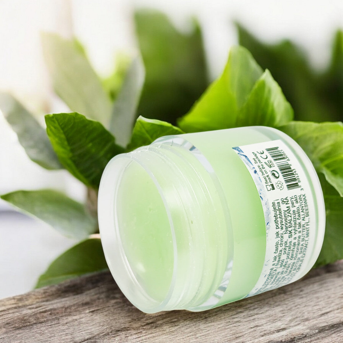 Lip Balm with a Taste of Fresh Mint, 30ml