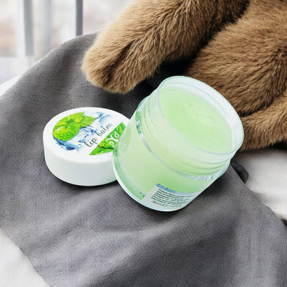 Lip Balm with a Taste of Fresh Mint, 30ml